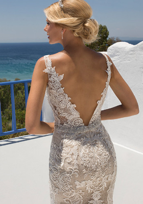 Beautiful V Neck Lace Fit And Flare Dress Sexy V Backless With Train