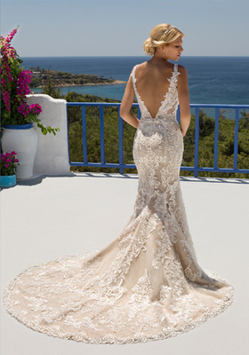 Beautiful V Neck Lace Fit And Flare Dress Sexy V Backless With Train